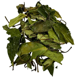 BAI MU DAN